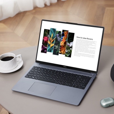 huawei_matebook_d16_2024__1_