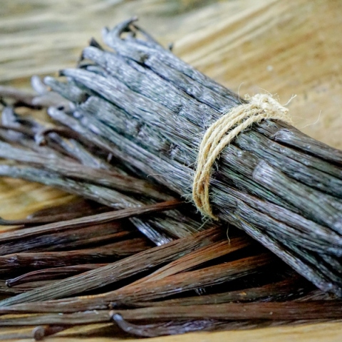 Η ιστορία της βανίλιας 