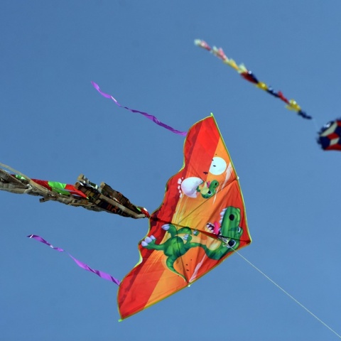 Χαρταετοί στον ουρανό 