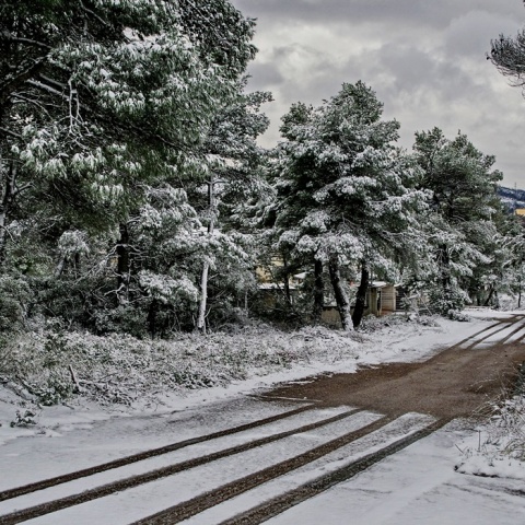 Σημάδια από ρόδες αυτοκινήτου σε χιονισμένο τοπίο