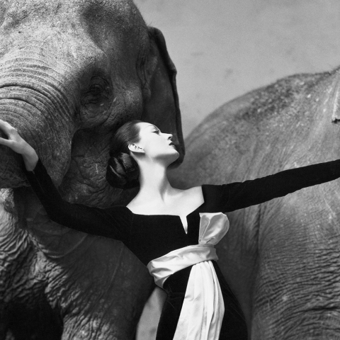 Richard Avedon: Ο φωτογράφος που άλλαξε τη φωτογραφία μόδας και διασημοτήτων