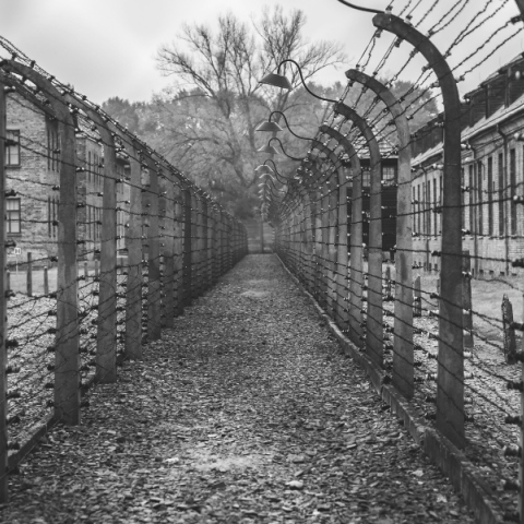 Ημέρα Μνήμης του Ολοκαυτώματος: « αν τους ξεχάσουμε…»