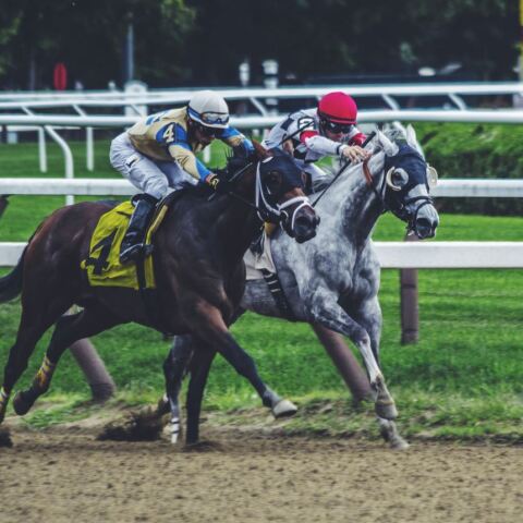 Επίσημα «τέλος» στην διεξαγωγή των ελληνικών ιπποδρομιών