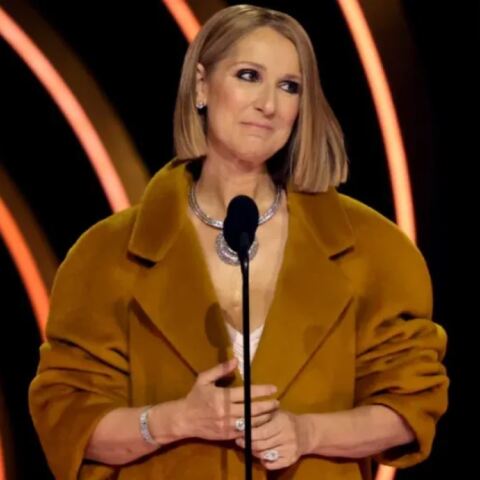 Βραβεία Grammy 2024: Η συγκινητική εμφάνιση της Σελίν Ντιόν