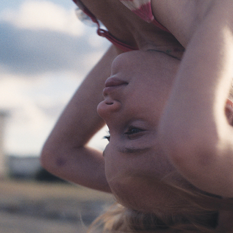 «Animal» της Σοφίας Εξάρχου