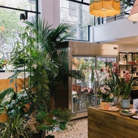 Polyamorous: Βανδάλισαν το ανθοπωλείο των Εξαρχείων