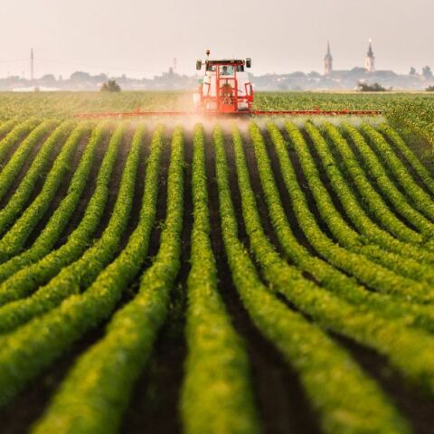 Αγροτικό ρεύμα: Το υπουργείο Ενέργειας δίνει στη δημοσιότητα μια σειρά ερωταπαντήσεων γύρω από τα νέα μέτρα και τη μείωση κόστους.