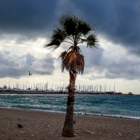 Καιρός αύριο: Συννεφιά, βροχές και καταιγίδες