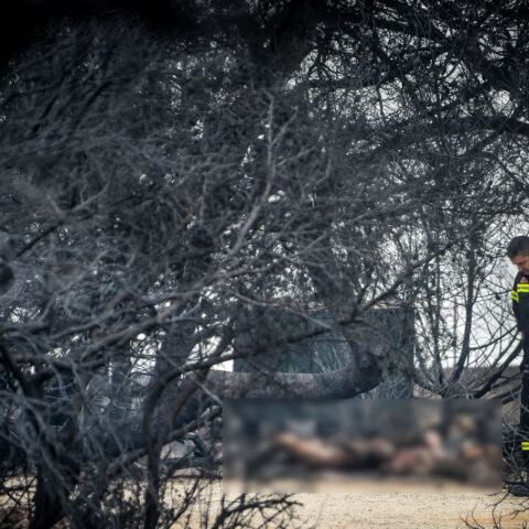 Σήμερα η αγόρευση του εισαγγελέα για την τραγωδία στο Μάτι