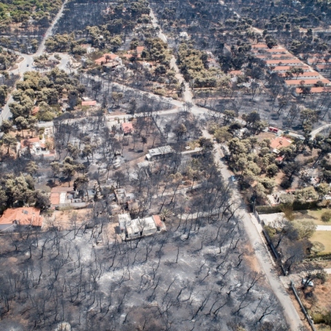 Καταπέλτης ο εισαγελέας στη δίκη για το Μάτι: Η αγόρευσή του