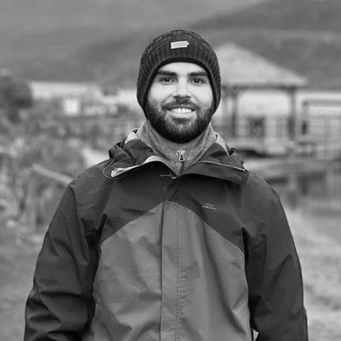 Δημήτρης Γούπιος