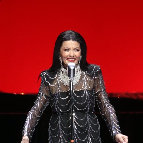 Ζωζώ Σαπουντζάκη