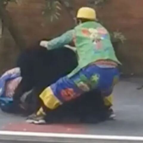 Αρκούδα επιτέθηκε στον θηριοδαμαστή της στην Κίνα