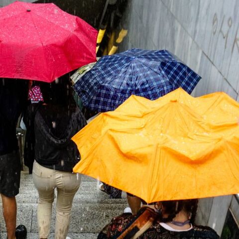 Πρόγνωση καιρού: Βροχές έρχονται τις επόμενες ημέρες στη χώρα, ενώ θα επικρατήσουν και ισχυροί νοτιάδες, σύμφωνα με τους μετεωρολόγους.