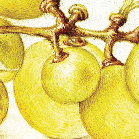 Μελίσσα Στοΐλη «Και διηγώντας τα να τρως - Ιστορίες και συνταγές εδεσμάτων», εκδόσεις Κίχλη