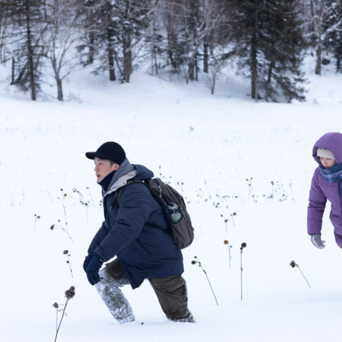 Ο πάγος που καίει