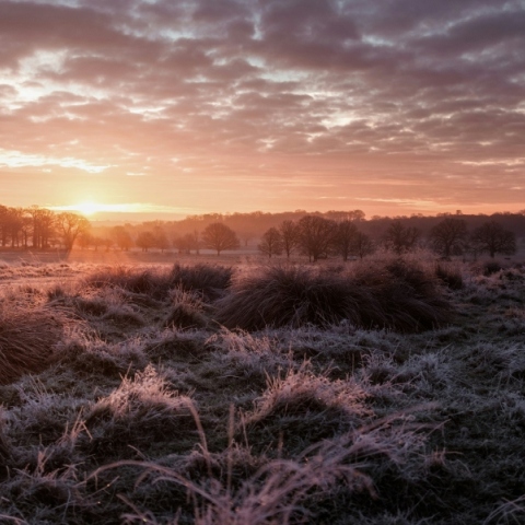 Ο φετινός Φεβρουάριος ίσως είναι ο πιο ζεστός που έχει καταγραφεί ποτέ