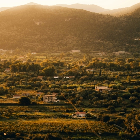Meteo: Ο φετινός Φεβρουάριος ο πιο θερμός μήνας της 15ετίας για τη βόρεια Ελλάδα