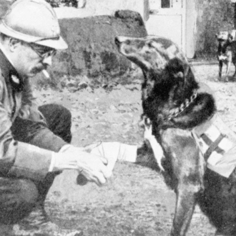 Πώς ξεκίνησε η διάσωση των ανθρώπων από τους σκύλους;