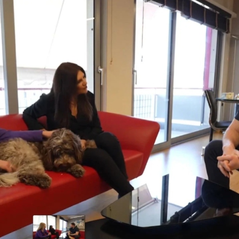  ΣΥΡΙΖΑ: Νέα εκπρόσωπος Τύπου η Βούλα Κεχαγιά