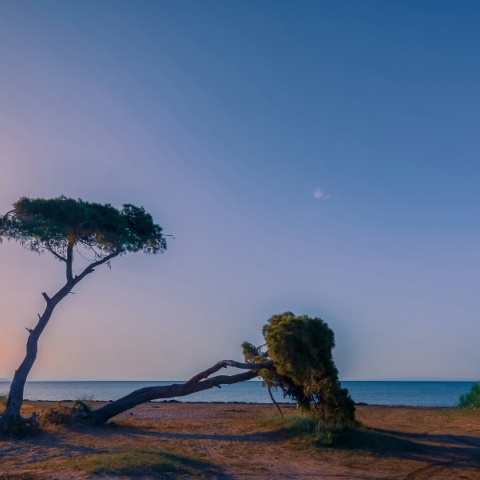 Meteo: Ο θερμότερος χειμώνας όλων των εποχών στην Ελλάδα