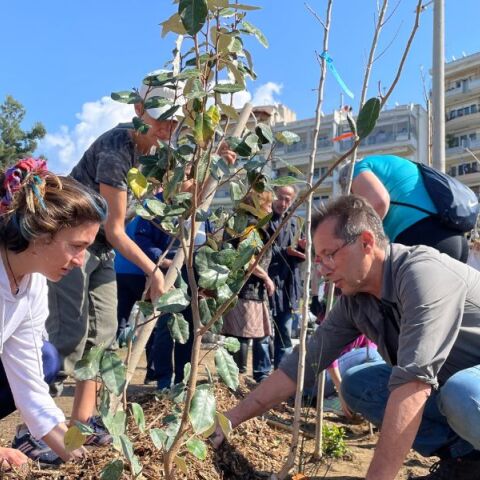 Θεσσαλονίκη: «Γεννήθηκε» το πρώτο βρώσιμο δάσος με τη φύτευση 700 δέντρων και φυτών - Νέος τόπος πρασίνου στη Νεάπολη Συκεών.