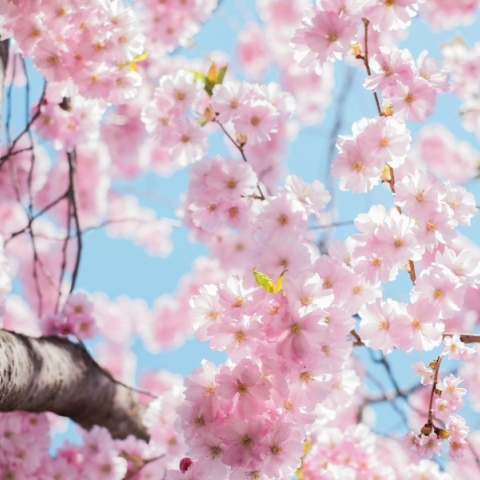 Ποιοι γιορτάζουν σήμερα 6 Μαρτίου;