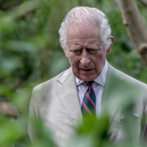 Ο Βασιλιάς Κάρολος