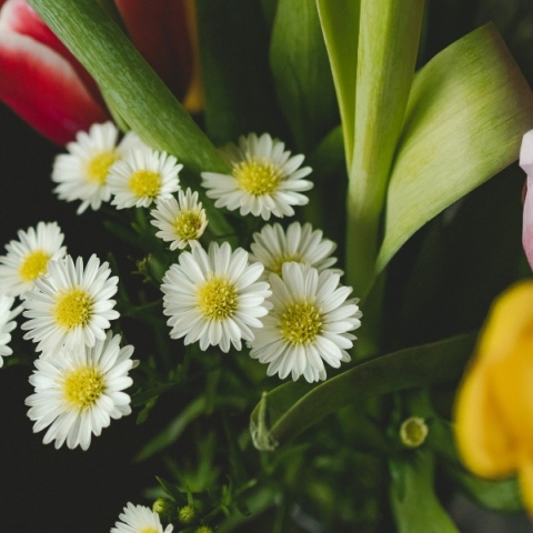 Εορτολόγιο: Σήμερα, 7 Μαρτίου 2024 γιορτάζει…