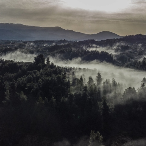Καιρός αύριο: Άστατος την Τσικνοπέμπτη
