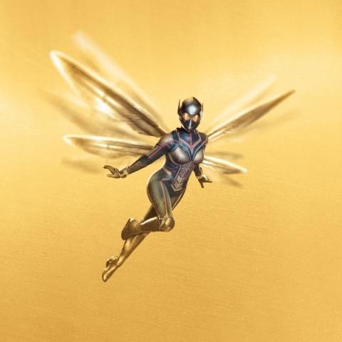 Γιατί είμαι μύγα