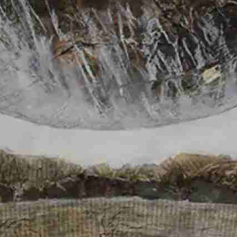 «Λέξεις που δεν έζησε…»: Μια «ζωή» που ακροβατεί μεταξύ πραγματικής και ψηφιακής