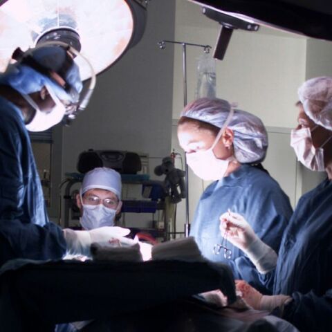 ΕΟΜ: Αναληθές δημοσίευμα περί δήθεν εμπορίας οργάνων στην ελληνική επικράτεια - Ζητά την ανάκληση του δημοσιεύματος.