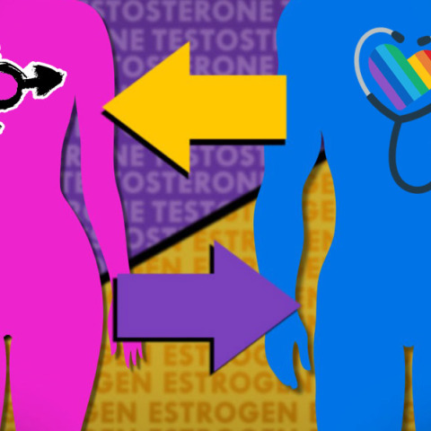 Φυλομετάβαση