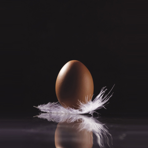 Η Νύχτα και ο Αιθέρας γέννησαν ένα ασημένιο αυγό