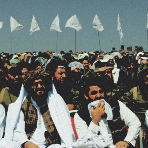 HollywoodGate: Ντοκιμαντέρ για το Φεστιβάλ Θεσσαλονίκης