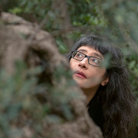 Μαρία Σταυροπούλου, ποιος είναι ο «παρΑνοϊκός δολοφόνος λέξεων»;