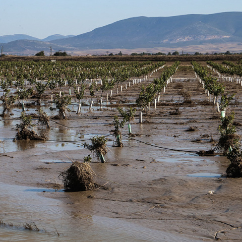 Λίμνη Κάρλα: Για όλα φταίνε οι Ολλανδοί