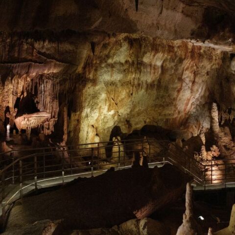 Χαλκιδική: Επαναλειτουργεί μετά από 5 χρόνια το σπήλαιο των Πετραλώνων - Περιήγηση στο «Σπίτι του Αρχανθρώπου» - Εντυπωσιακές εικόνες.