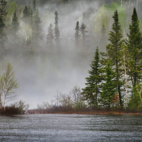 Η βιοποικιλότητα ίσως κρατά το κλειδί για το μέλλον του πλανήτη