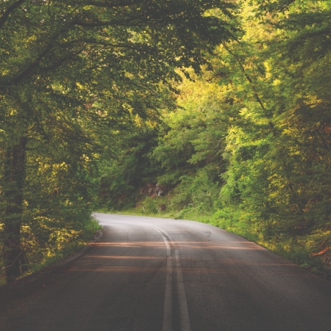 Σημαντικός πυλώνας ανάπτυξης για τον Δήμο Αριστοτέλη το πρόγραμμα Εταιρικής Υπευθυνότητας της Ελληνικός Χρυσός