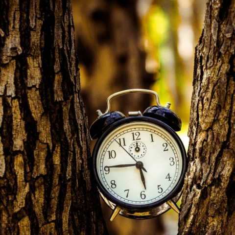 Αλλαγή ώρας 2024: Πότε γυρίζουμε τα ρολόγια μας μπροστά