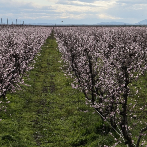 Καιρός σήμερα: Υψηλές θερμοκρασίες και σκόνη 