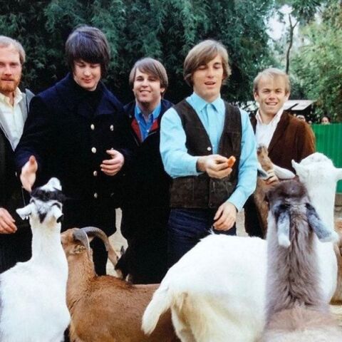 The Beach Boys: Νέο ντοκιμαντέρ για το συγκρότημα που έφερε επανάσταση στην ποπ μουσική τη δεκαετία του 1960 - Θα κάνει πρεμιέρα στo Disney+ τον Μάιο.