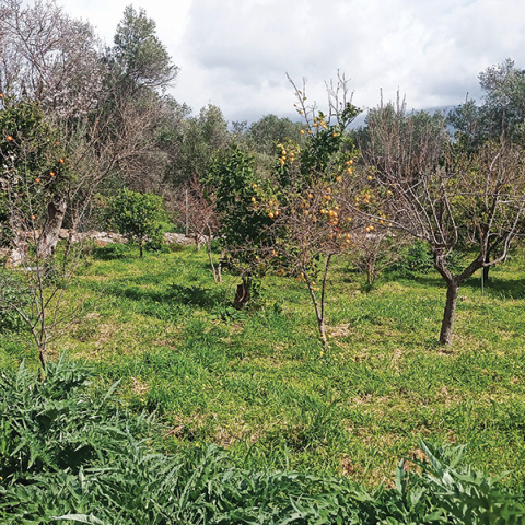 Τα δωμάτια των συγγραφέων: Γιάννης Μακριδάκης