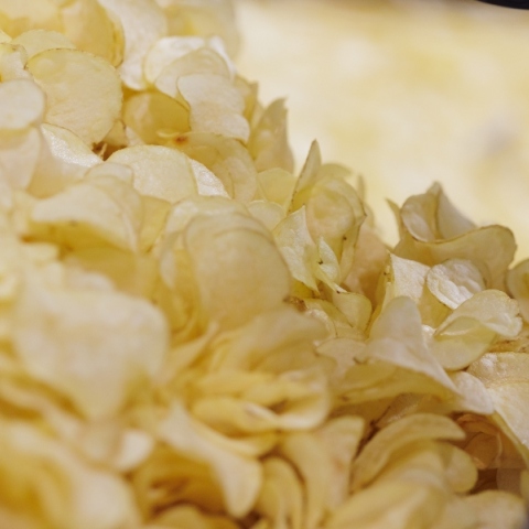 Ένα ταξίδι στον «ακαταμάχητο» κόσμο των Lay’s