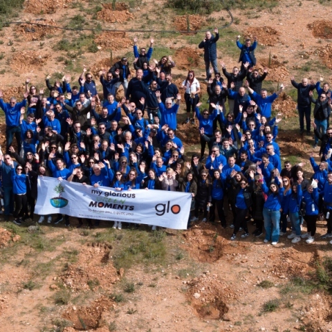 Δενδροφύτευση από glo