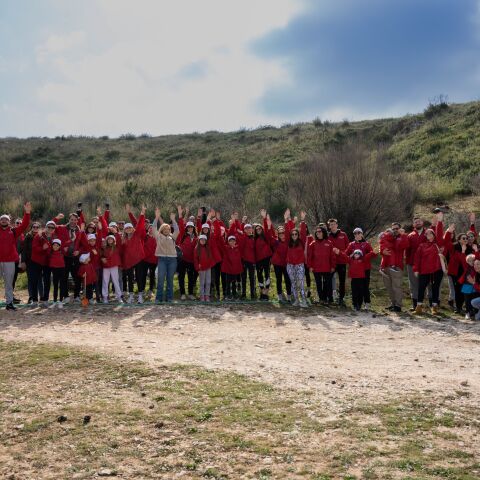 henkel_αναδασωση_πεντελης__2_