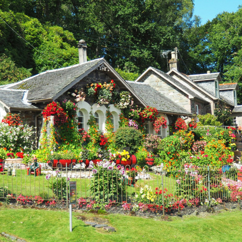 6 τάσεις κήπου 2024