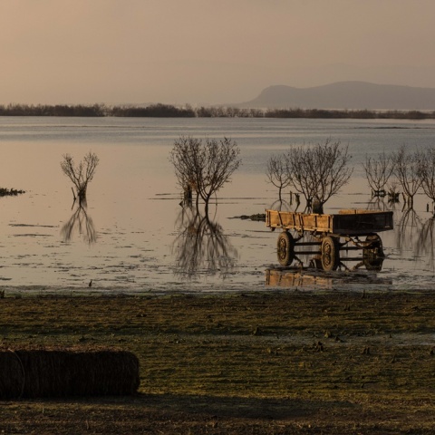 Η Λίμνη Κάρλα επτά μήνες μετά - Εικόνες